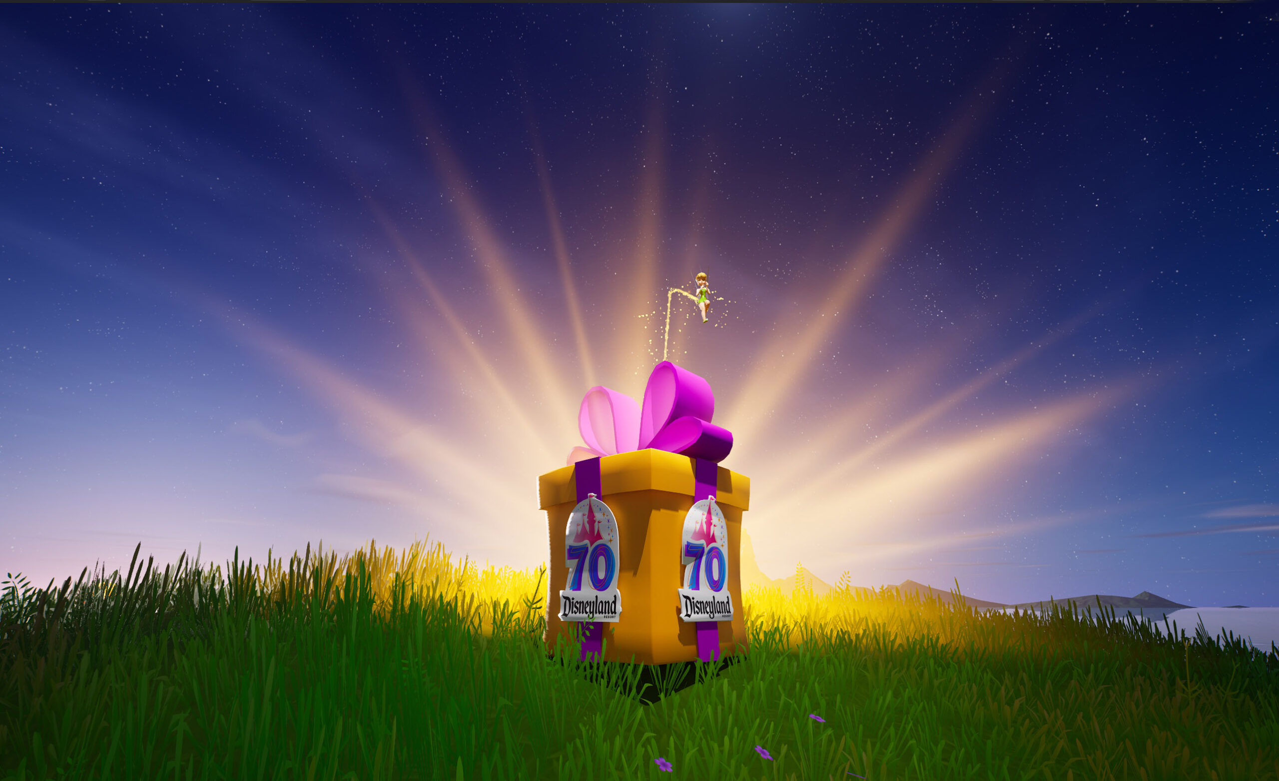 2025 – That’s A Wrap!